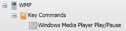 WMP commands example