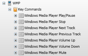 WMP Key Commands