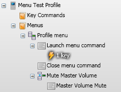 Command menu setup