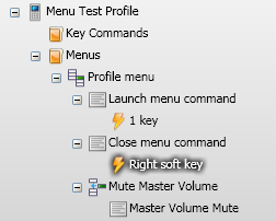 Command menu setup